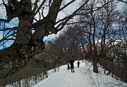 17 Proseguendo sul 571